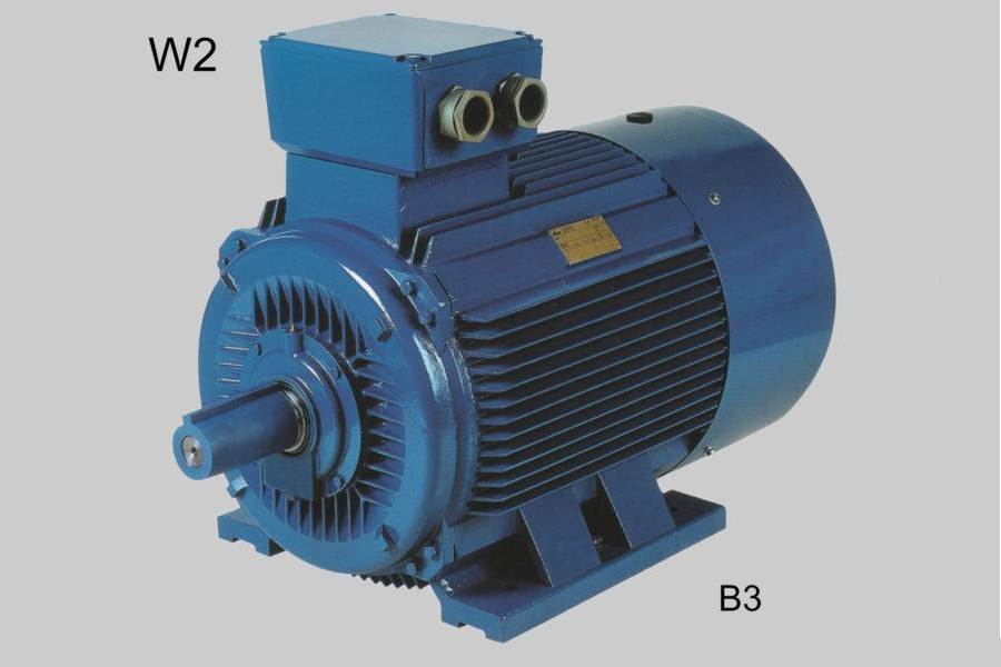 Weiss Motor  Serie W2