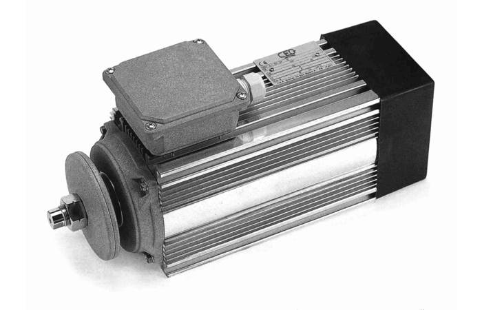 Kreissägemotoren